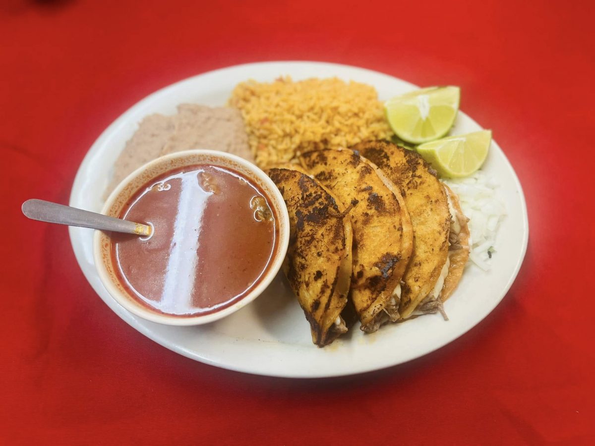 Birria Plate